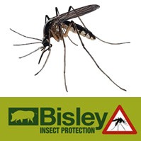 bisley-insect-protection-mosquito