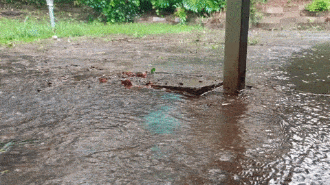 SpillSmart Flood Pillow